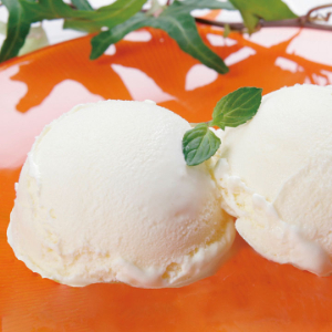 バニラアイスクリーム／冷凍　北海道