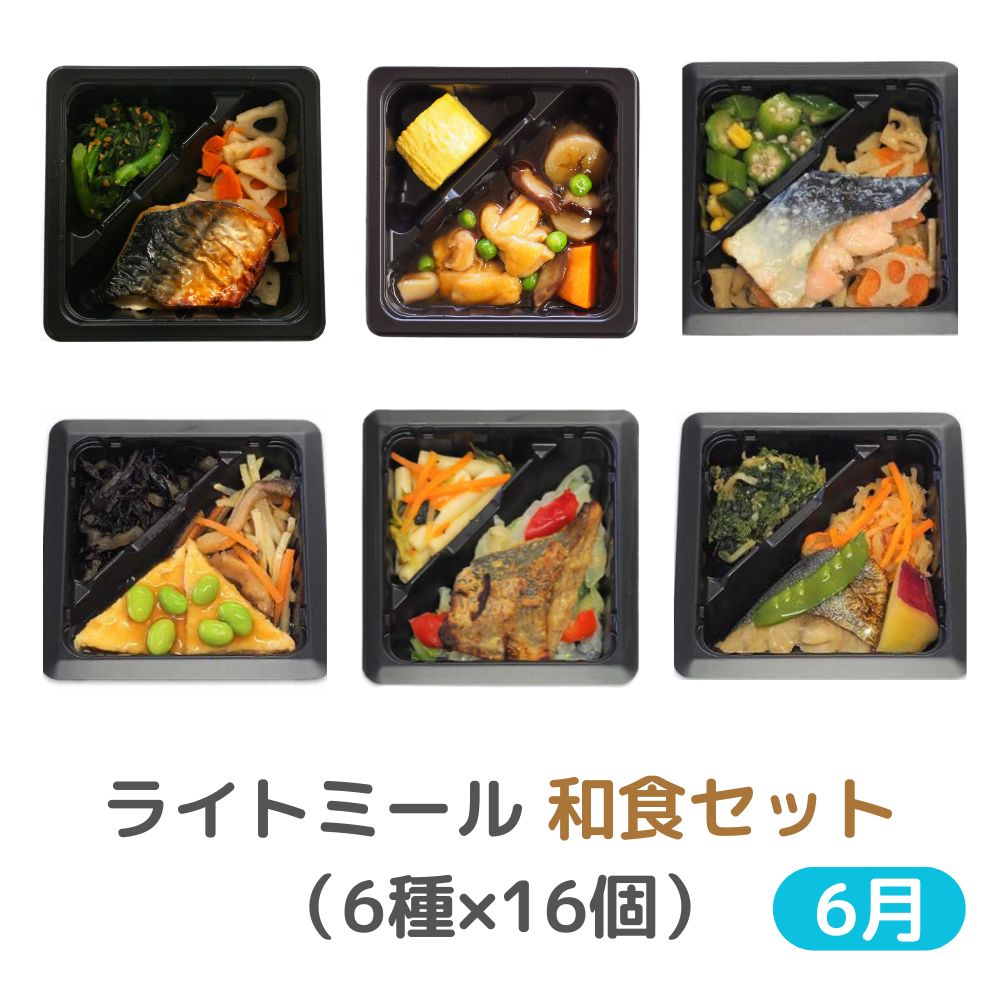 冷凍　6月　ライトミール　和食セット（6種×16個）【ふつう食】