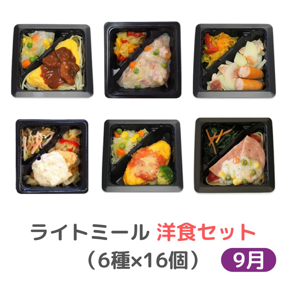 冷凍　9月　ライトミール　洋食セット（6種×16個）【ふつう食】